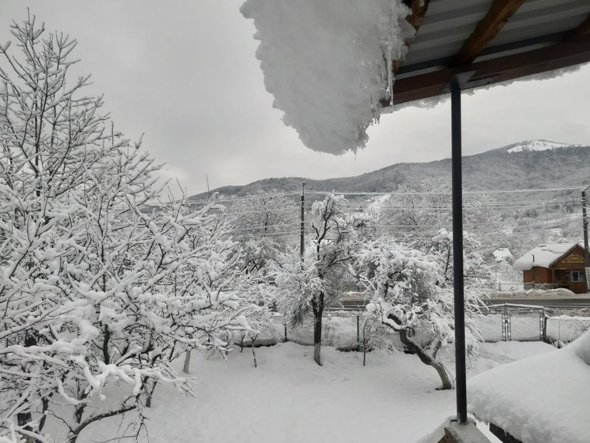 Barlig Daire Yaremche Dış mekan fotoğraf