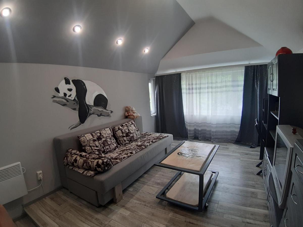 Barlig Daire Yaremche Dış mekan fotoğraf